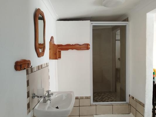 Bella Rosa - 264496