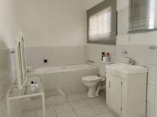 Bella Rosa - 264497