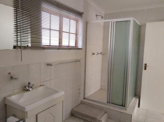 Bella Rosa - 264498