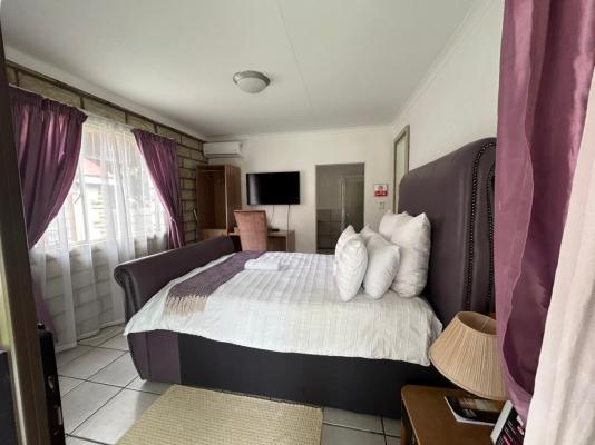 Bella Rosa - 264499