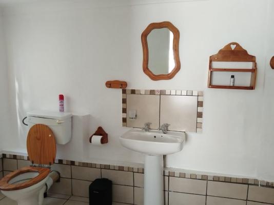 Bella Rosa - 264502