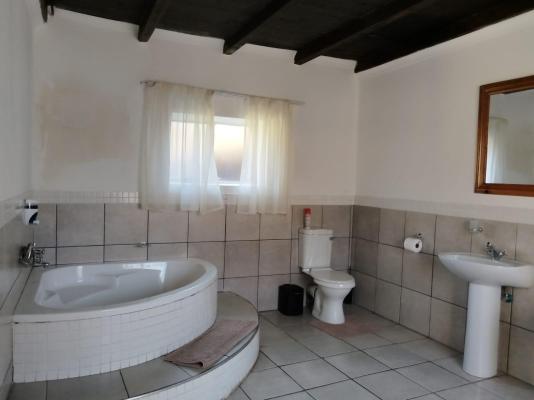 Bella Rosa - 264503