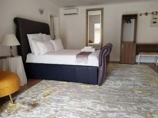 Bella Rosa - 264504