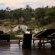 Ivory Wilderness River Rock Lodge - 264505