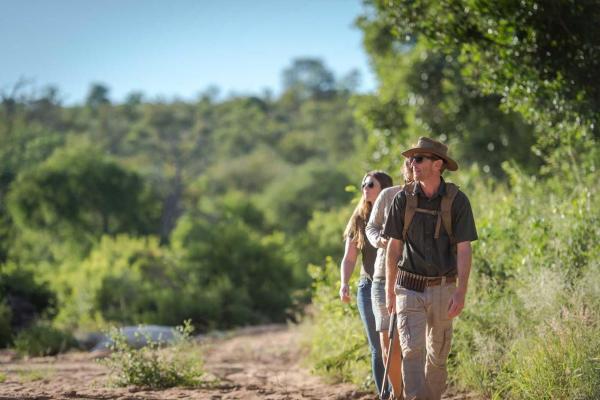 Ivory Wilderness River Rock Lodge - 264507