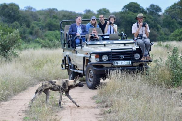 Ivory Wilderness River Rock Lodge - 264511