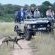 Ivory Wilderness River Rock Lodge - 264511