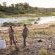 Ivory Wilderness River Rock Lodge - 264515