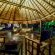 Ivory Wilderness River Rock Lodge - 264520