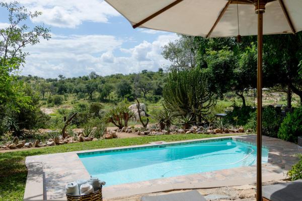 Ivory Wilderness River Rock Lodge - 264532