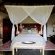 Ivory Wilderness River Rock Lodge - 264547