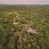 Parsons Hilltop Safari Camp - 264628