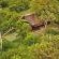 Parsons Hilltop Safari Camp - 264629