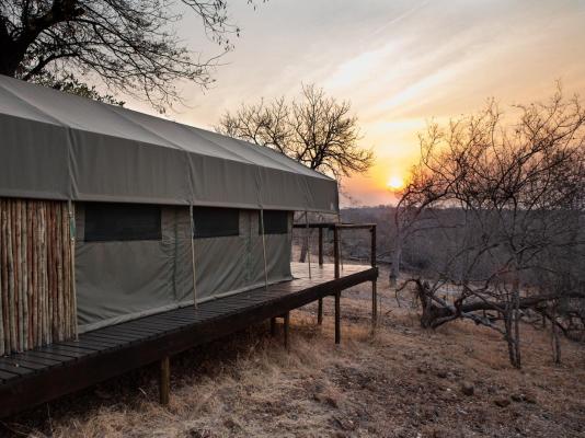Parsons Hilltop Safari Camp - 264656