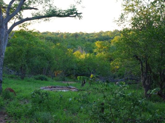 Parsons Hilltop Safari Camp - 264657