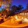 Parsons Hilltop Safari Camp - 264673