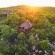 Parsons Hilltop Safari Camp - 264699