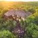 Parsons Hilltop Safari Camp - 264700