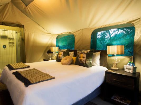 Room image 7