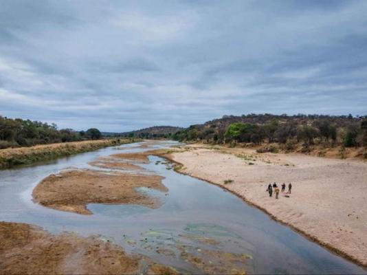 Kingly Conservation Camp - 264813