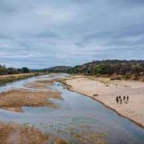 Kingly Conservation Camp - 264813