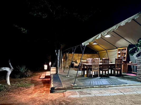 Kingly Conservation Camp - 264816