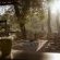 Kingly Conservation Camp - 264818