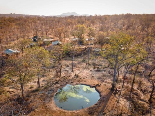 Kingly Conservation Camp - 264819
