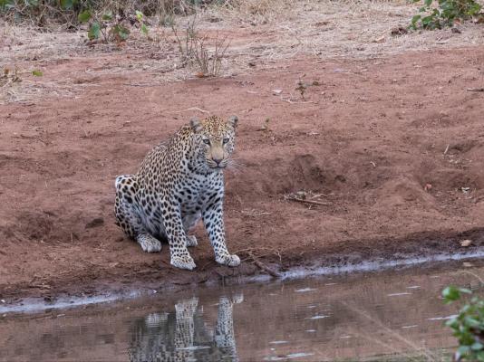 Kingly Conservation Camp - 264822