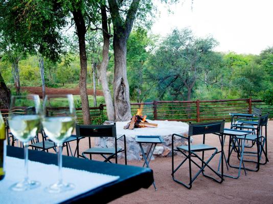 Kingly Conservation Camp - 264828