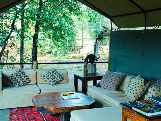 Kingly Conservation Camp - 264829