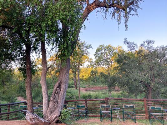 Kingly Conservation Camp - 264830