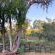 Kingly Conservation Camp - 264830