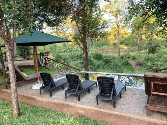 Kingly Conservation Camp - 264831