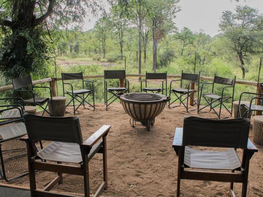 Kingly Conservation Camp - 264834