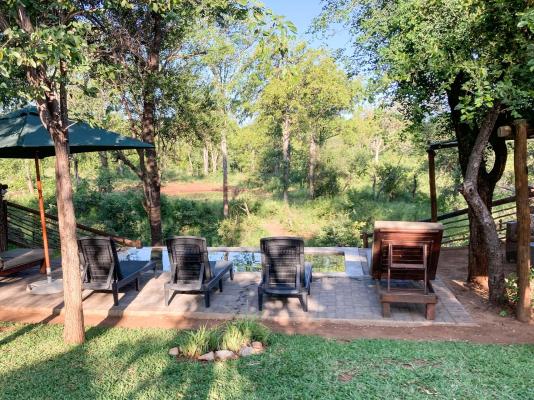 Kingly Conservation Camp - 264835