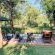 Kingly Conservation Camp - 264835
