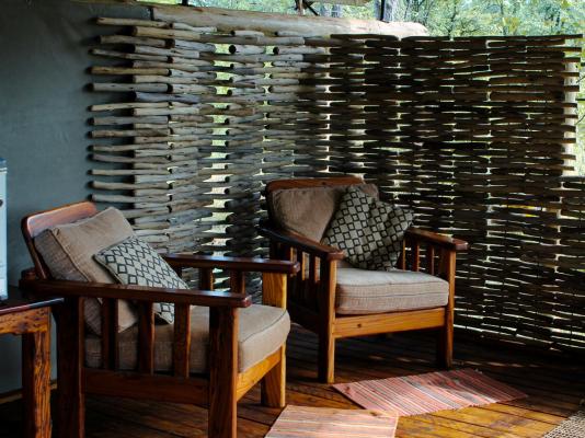 Kingly Conservation Camp - 264836