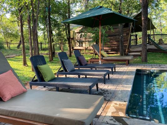 Kingly Conservation Camp - 264839