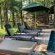 Kingly Conservation Camp - 264839