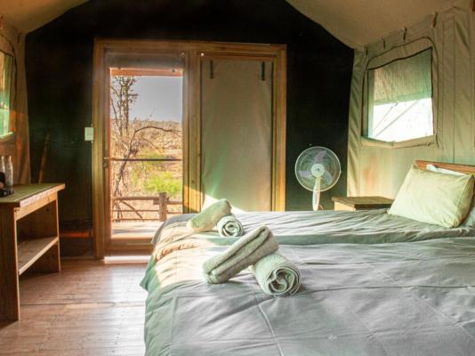 Kingly Conservation Camp - 264841