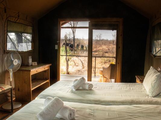 Kingly Conservation Camp - 264844