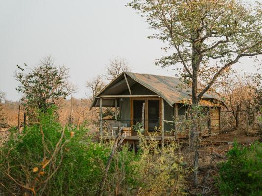 Kingly Conservation Camp - 264845