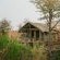 Kingly Conservation Camp - 264845