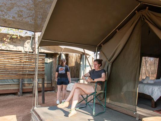 Kingly Conservation Camp - 264850
