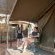 Kingly Conservation Camp - 264850