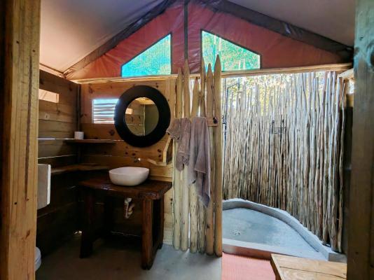 Kingly Conservation Camp - 264851