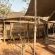 Kingly Conservation Camp - 264852