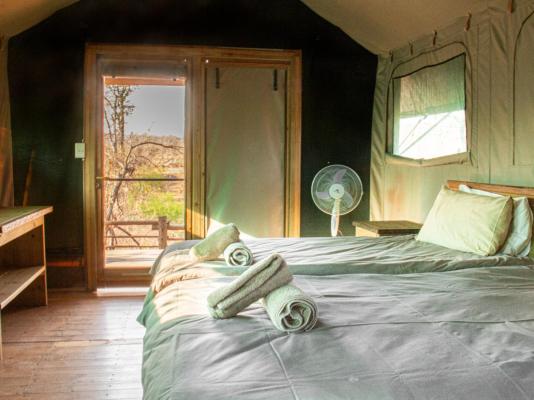 Kingly Conservation Camp - 264853