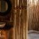 Kingly Conservation Camp - 264854